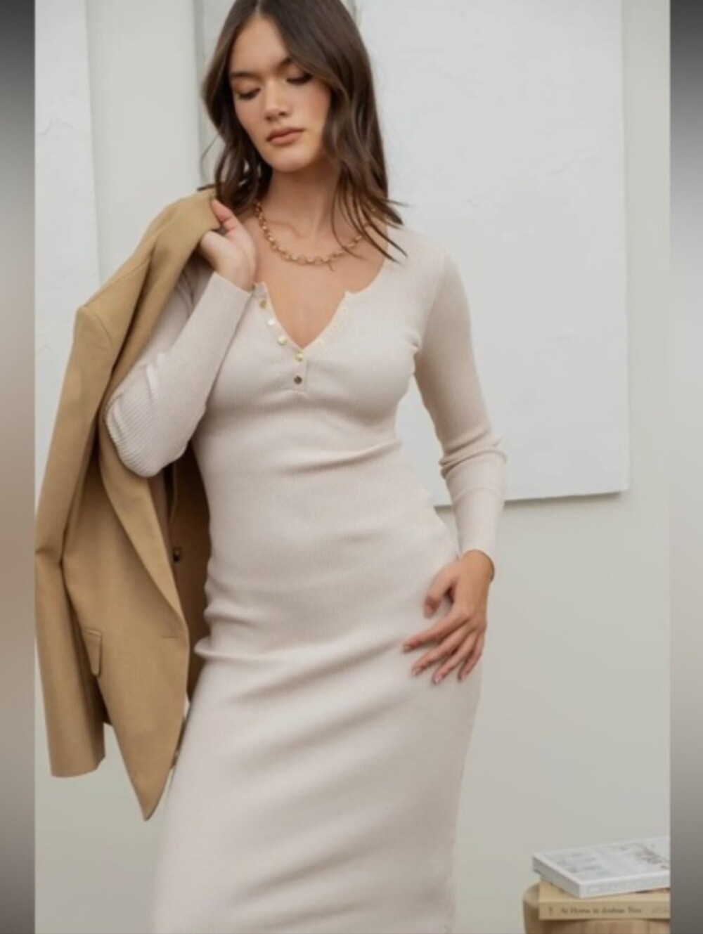 The Workshop Ribbed Knit Henley Midi Dress in Beige L Minimalist Career